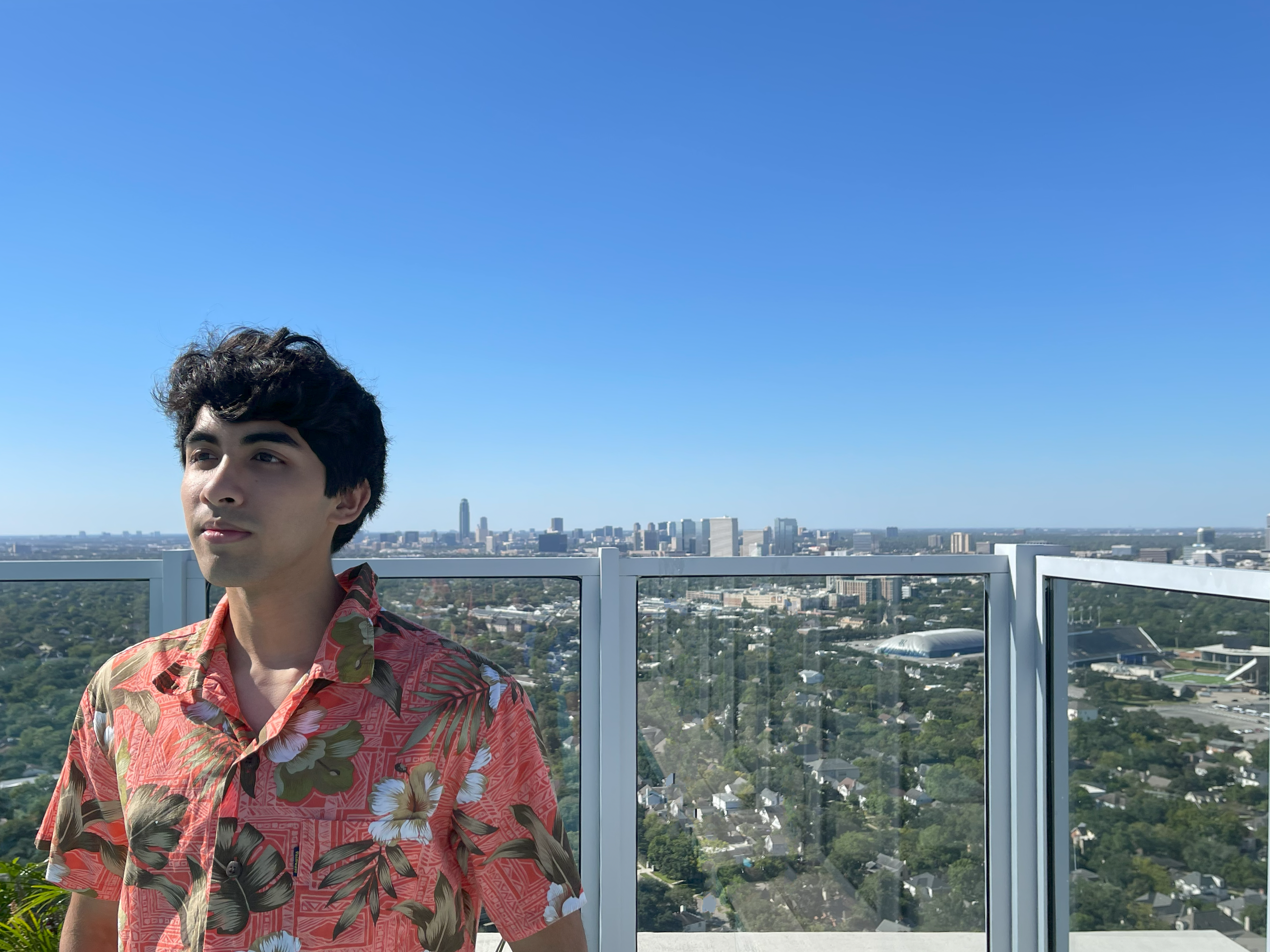 Standing on Apartment Roof with Houston Skyline